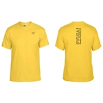 PV103<br>Gildan - DryBlend® T-Shirt